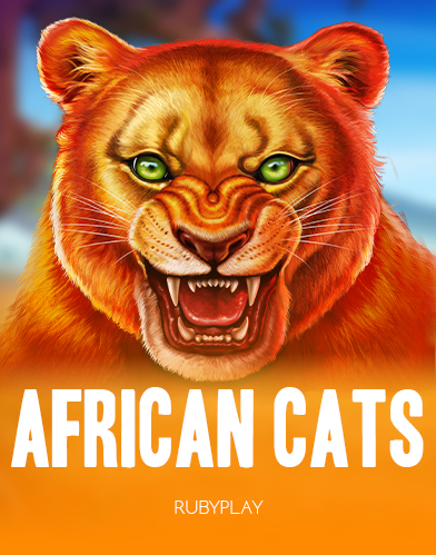 African Cats 1