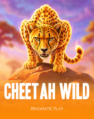 Cheetah Wild