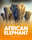 African Elephant